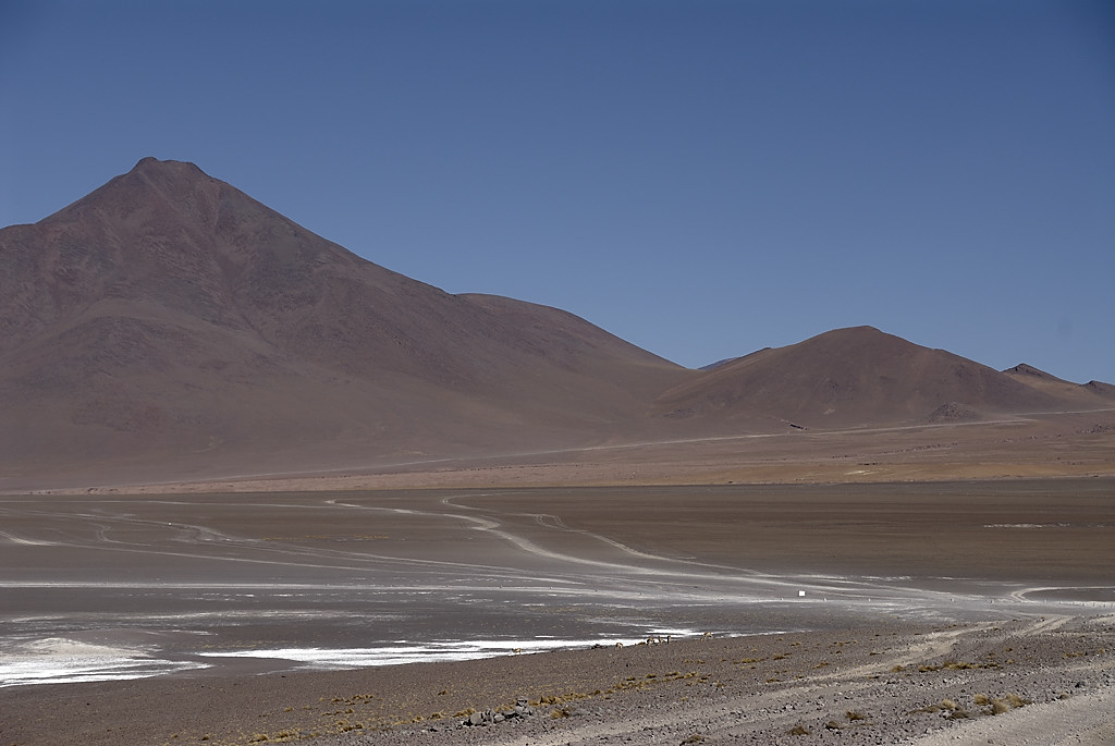 080806-095.jpg - Laguna Colorada