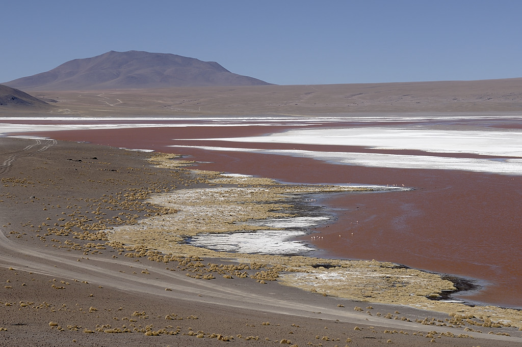 080806-096.jpg - Laguna Colorada