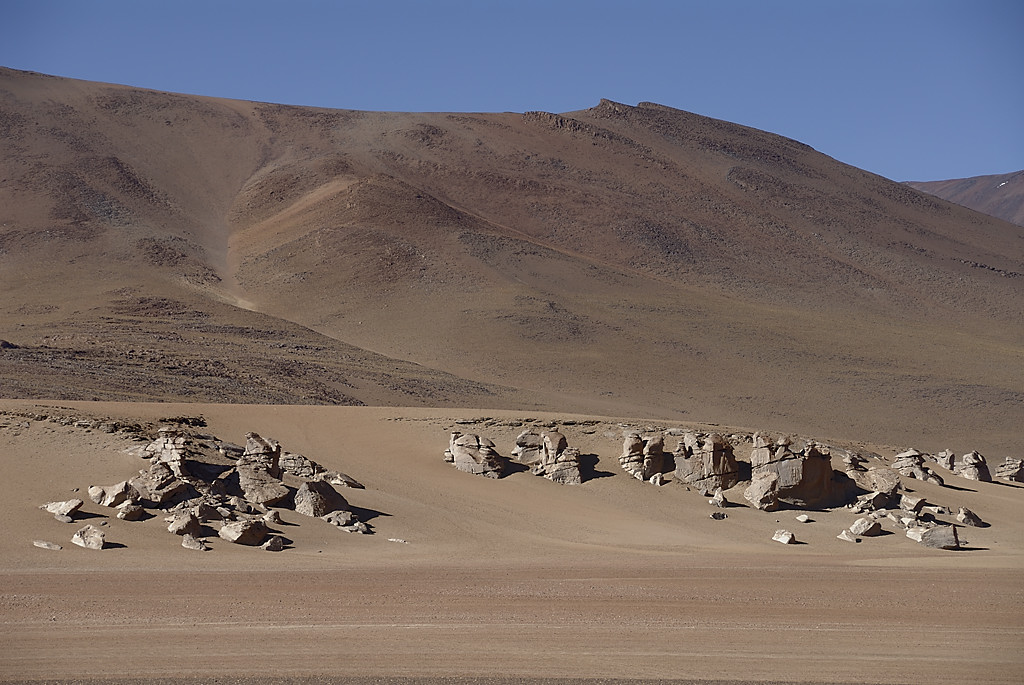080806-103.jpg - Paysage du Sud Lipez