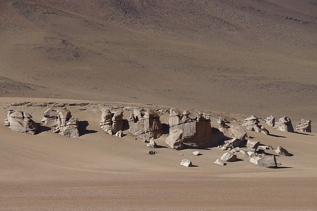 080806-105.jpg - Paysage du Sud Lipez