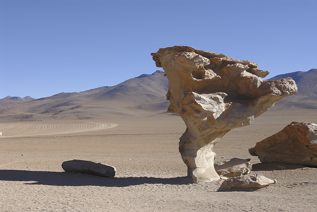 080806-107.jpg - Arbre de Pierre