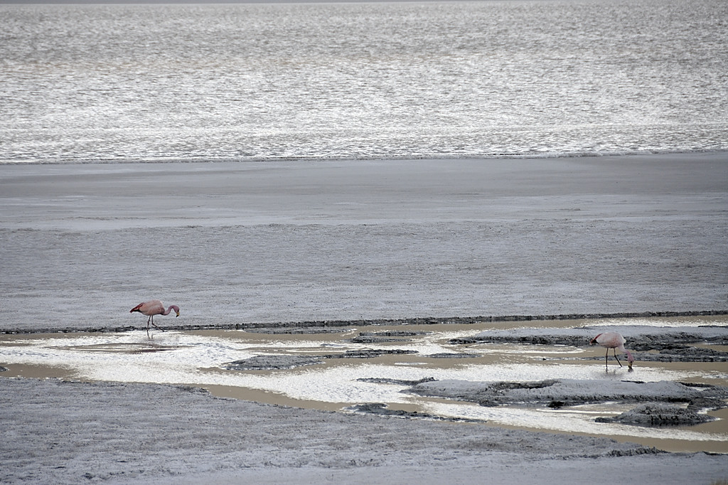 080806-116.jpg - Laguna Hedionda