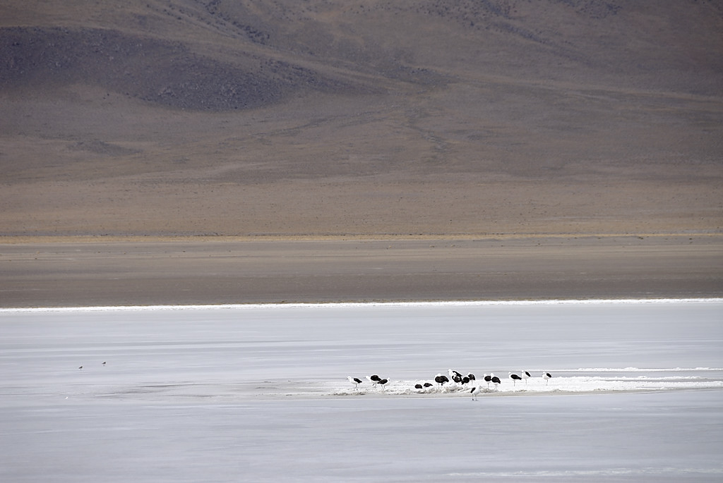 080807-07.jpg - Laguna Canapa