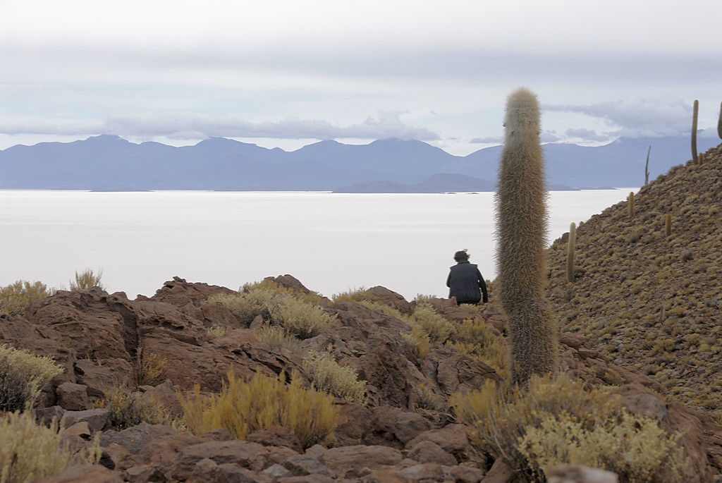 080808-11.jpg - Isla Pescado