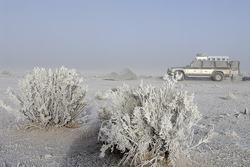 080809-05.jpg - Petit matin givr� � Florida