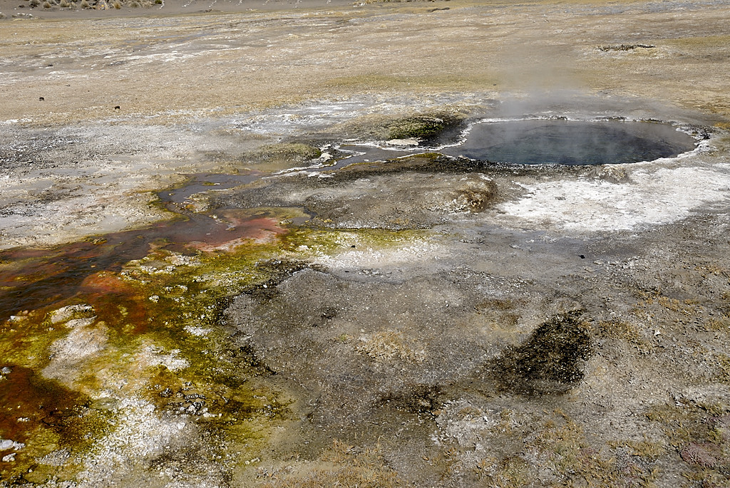 080810-11.jpg - Geysers