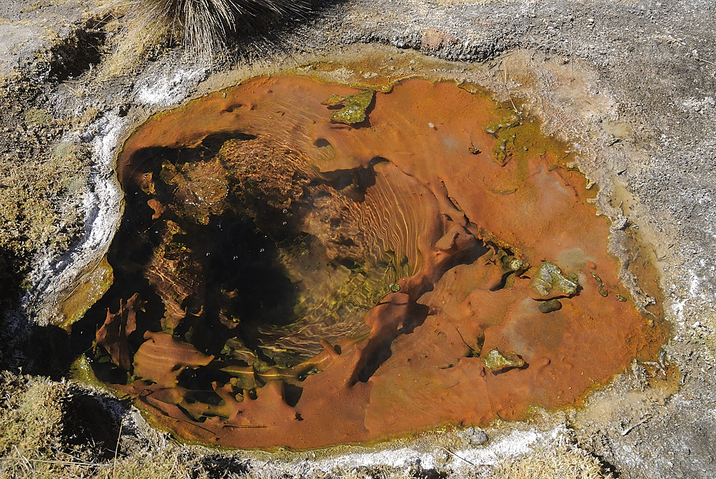080810-18.jpg - Geysers