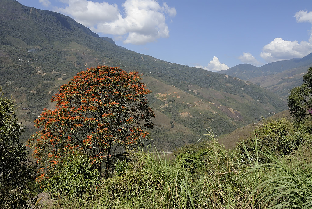 080814-46.jpg - Les derniers kilom�tres