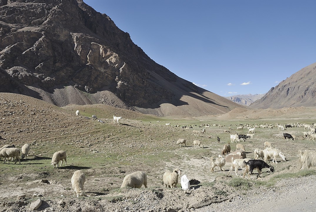 090716-32.jpg - Descente du Baralacha La