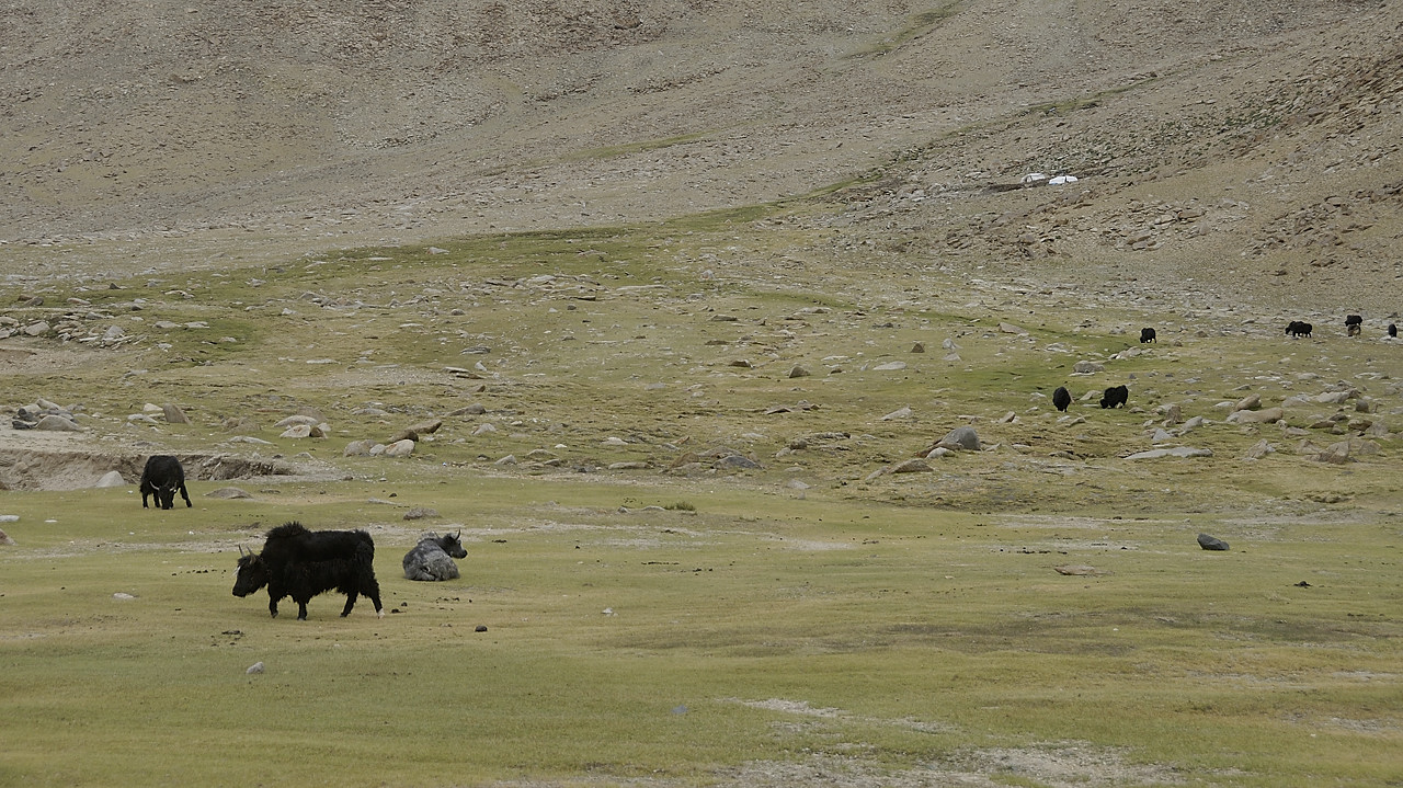 090722-17.jpg - Mont�e au Polo Kongka