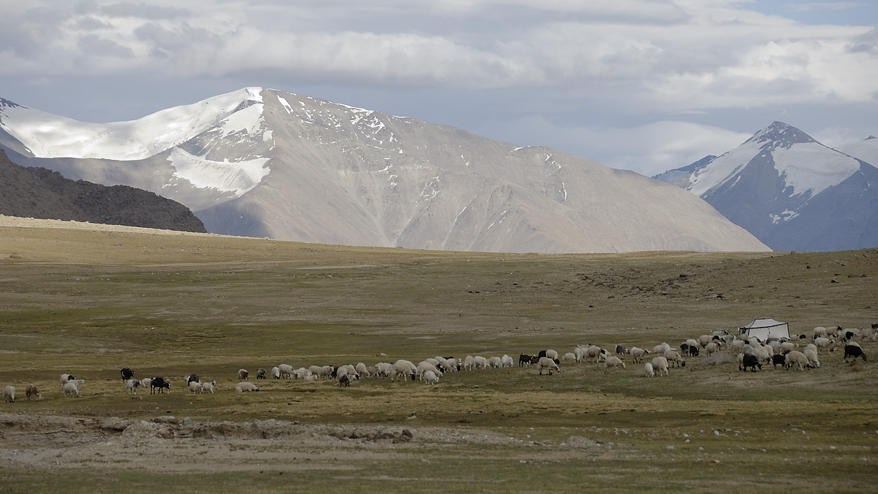 090722-29.jpg - Travers�e du Polo Kongka