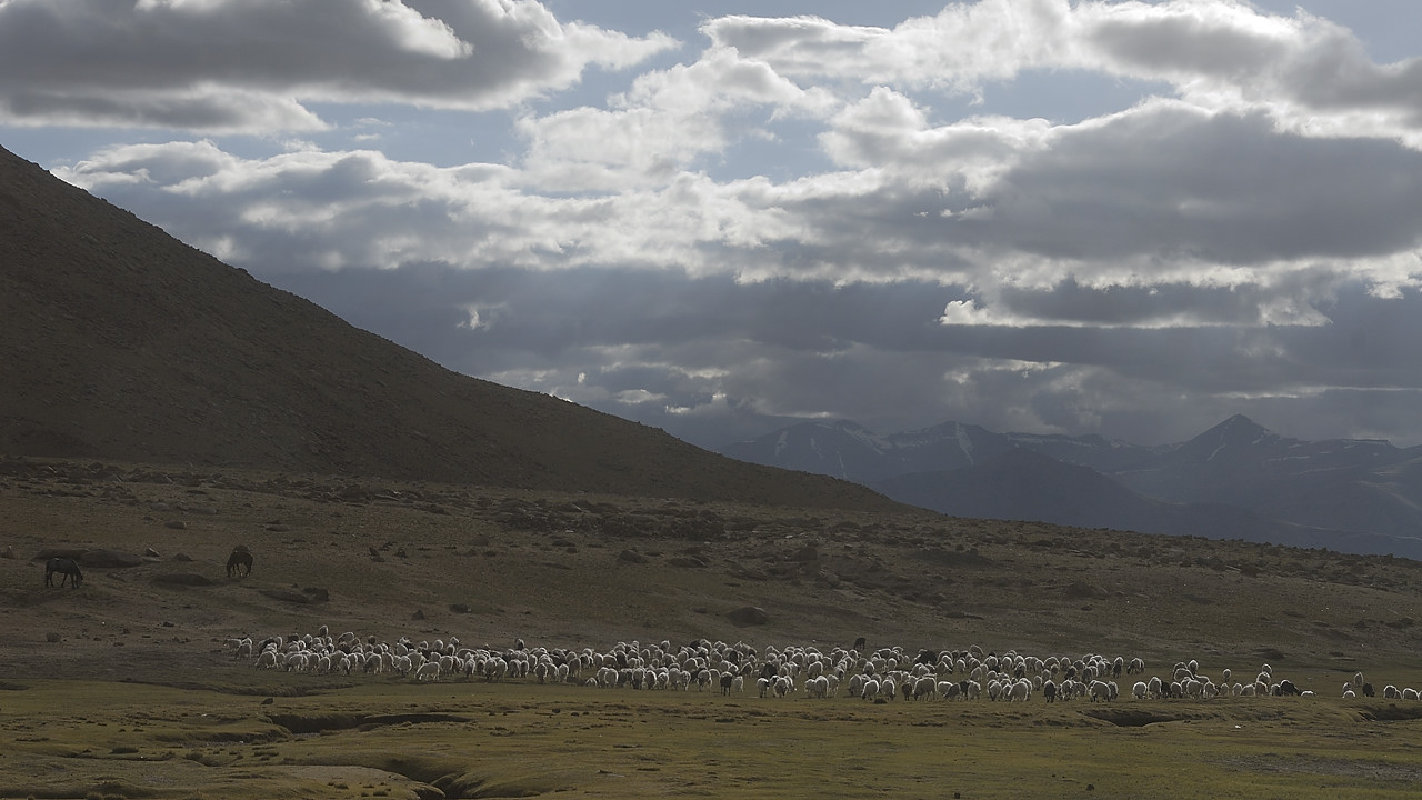 090722-31.jpg - Travers�e du Polo Kongka