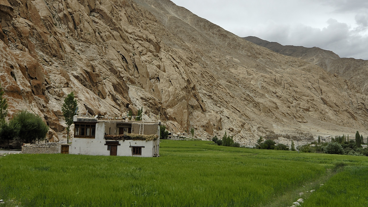 090728-24.jpg - Vall�e de l'Indus, Hymia