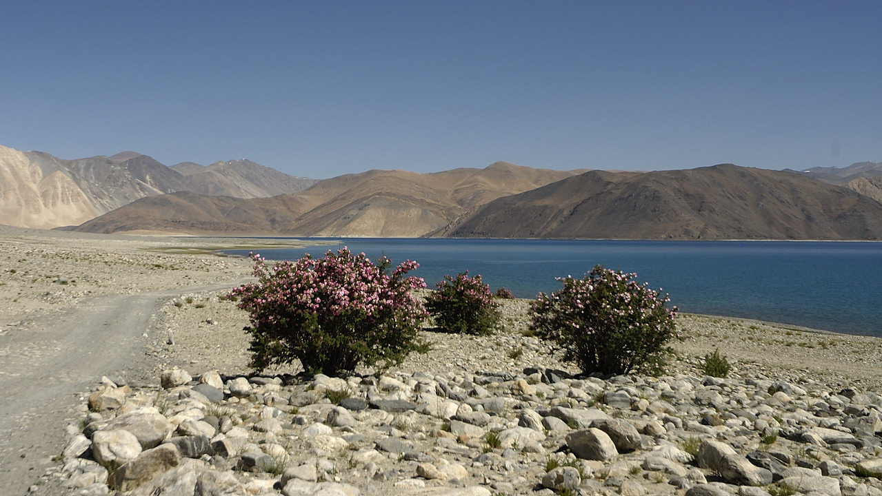 090806-12.jpg - Le long du Pangong Tso
