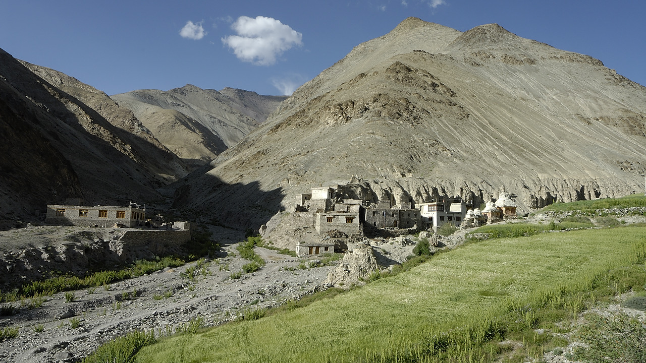 090815-11.jpg - Shingo