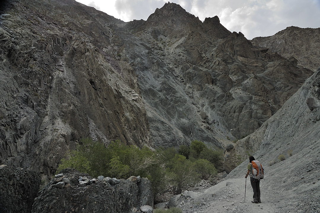 090816-01.jpg - De Shingo � Skyu