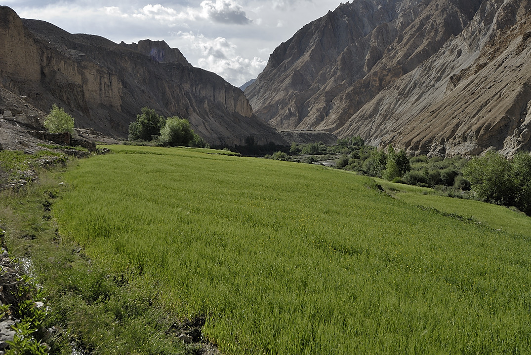 090817-02.jpg - De Sara � Markha