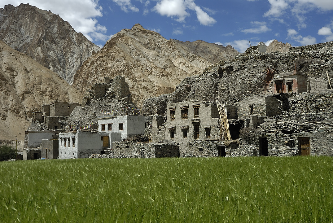 090817-18.jpg - Markha