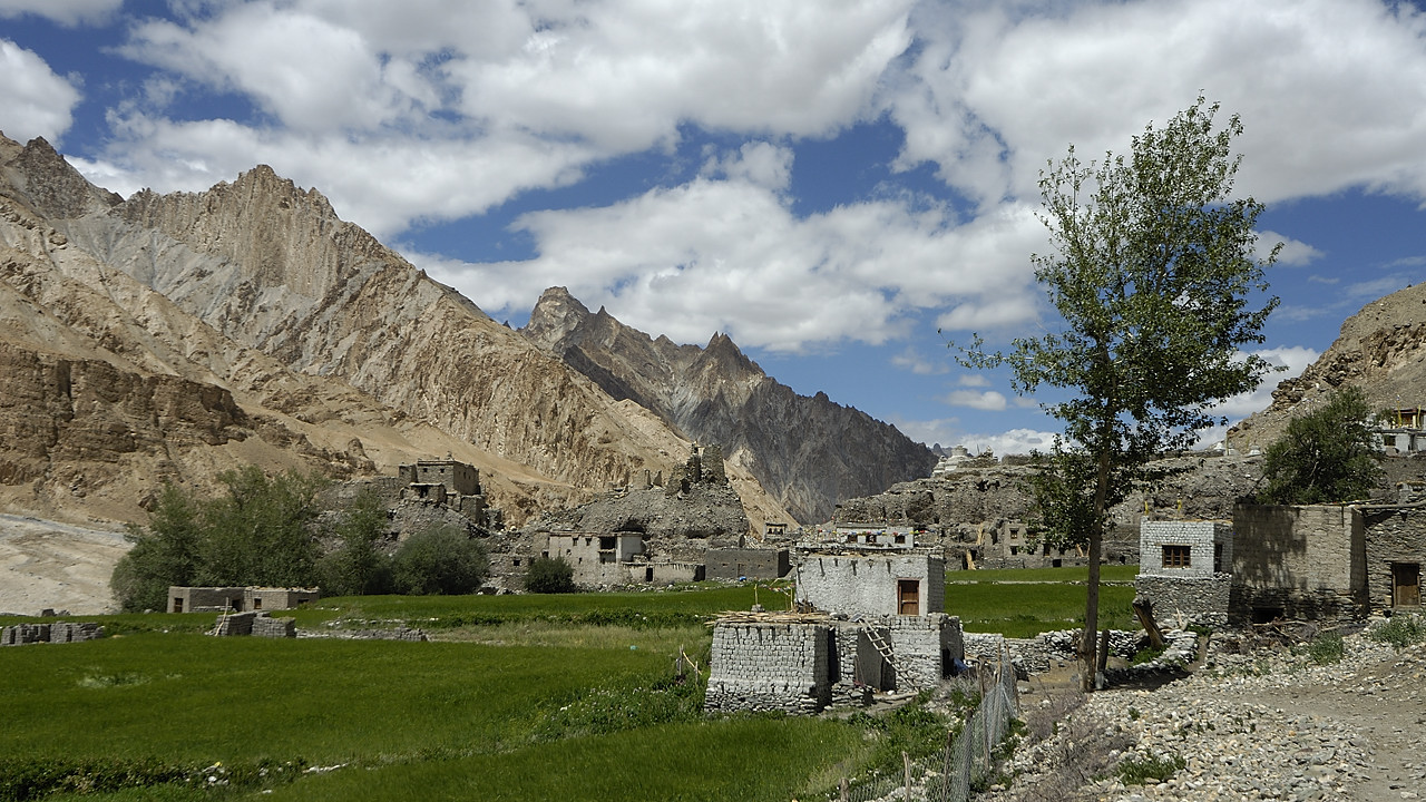 090817-22.jpg - Markha