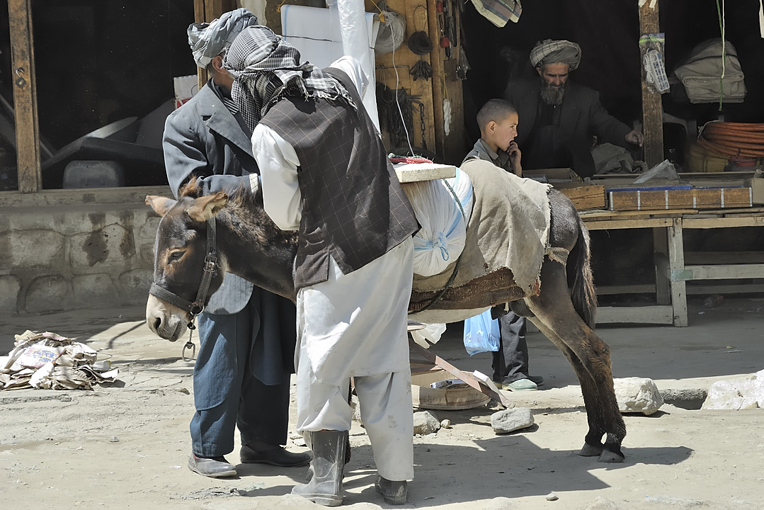 100731-132430.jpg - Sultan Ishkashim