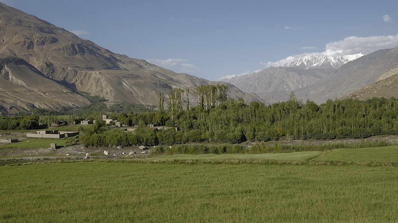 100731-174045.jpg - Kasideh, �tape chez notre chauffeur