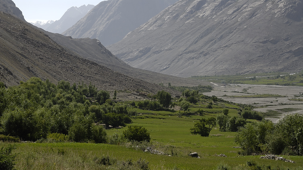 100802-085623.jpg - Champs autour de Wazit,rivi�re Wakhan