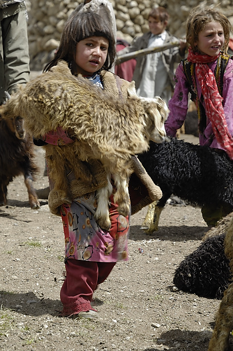 100803-104043.jpg - Bergers sous le Kota i Wazit