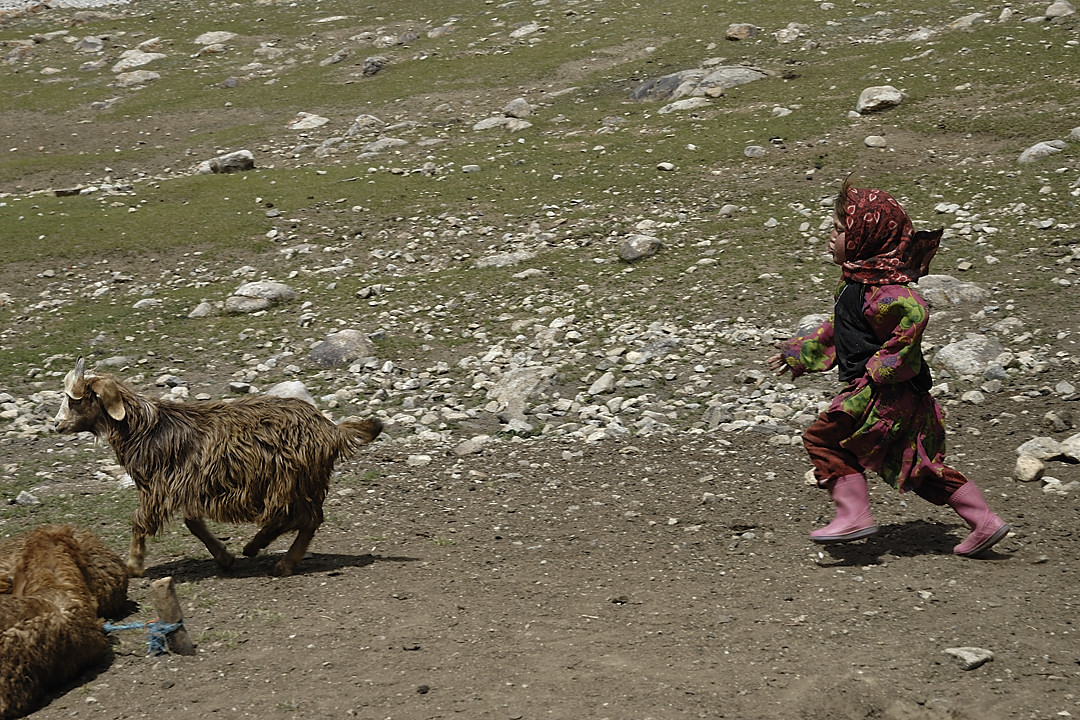 100803-104713.jpg - Bergers sous le Kota i Wazit