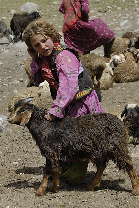 100803-104719.jpg - Bergers sous le Kota i Wazit