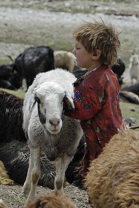 100803-105429.jpg - Bergers sous le Kota i Wazit