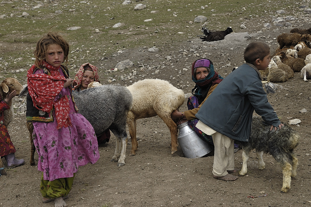 100803-110233.jpg - Bergers sous le Kota i Wazit