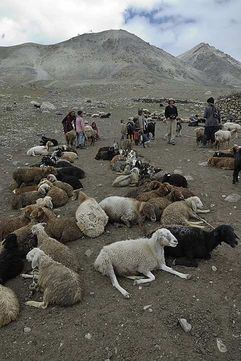 100803-110859.jpg - Bergers sous le Kota i Wazit