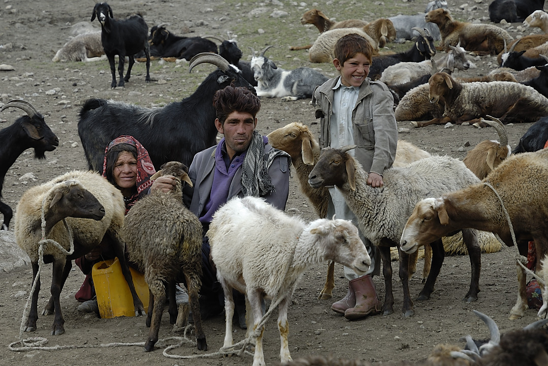 100803-113113.jpg - Bergers sous le Kota i Wazit