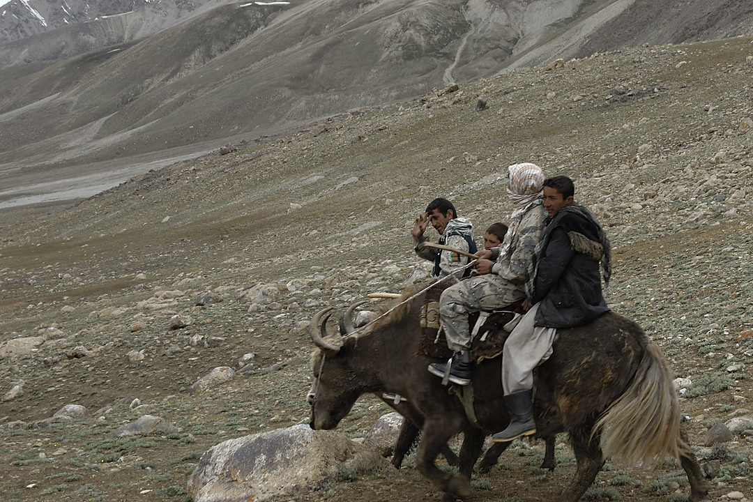 100803-124149.jpg - Sous le Kota i Wazit