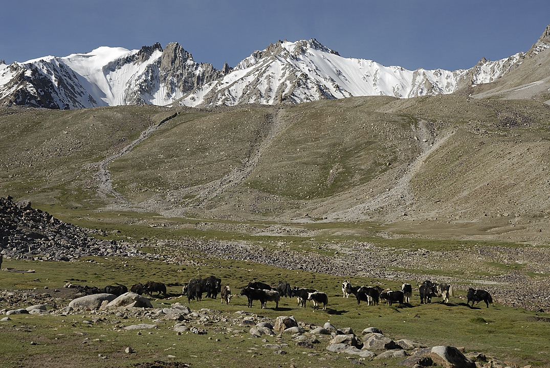 100804-080134.jpg - Village de bergers