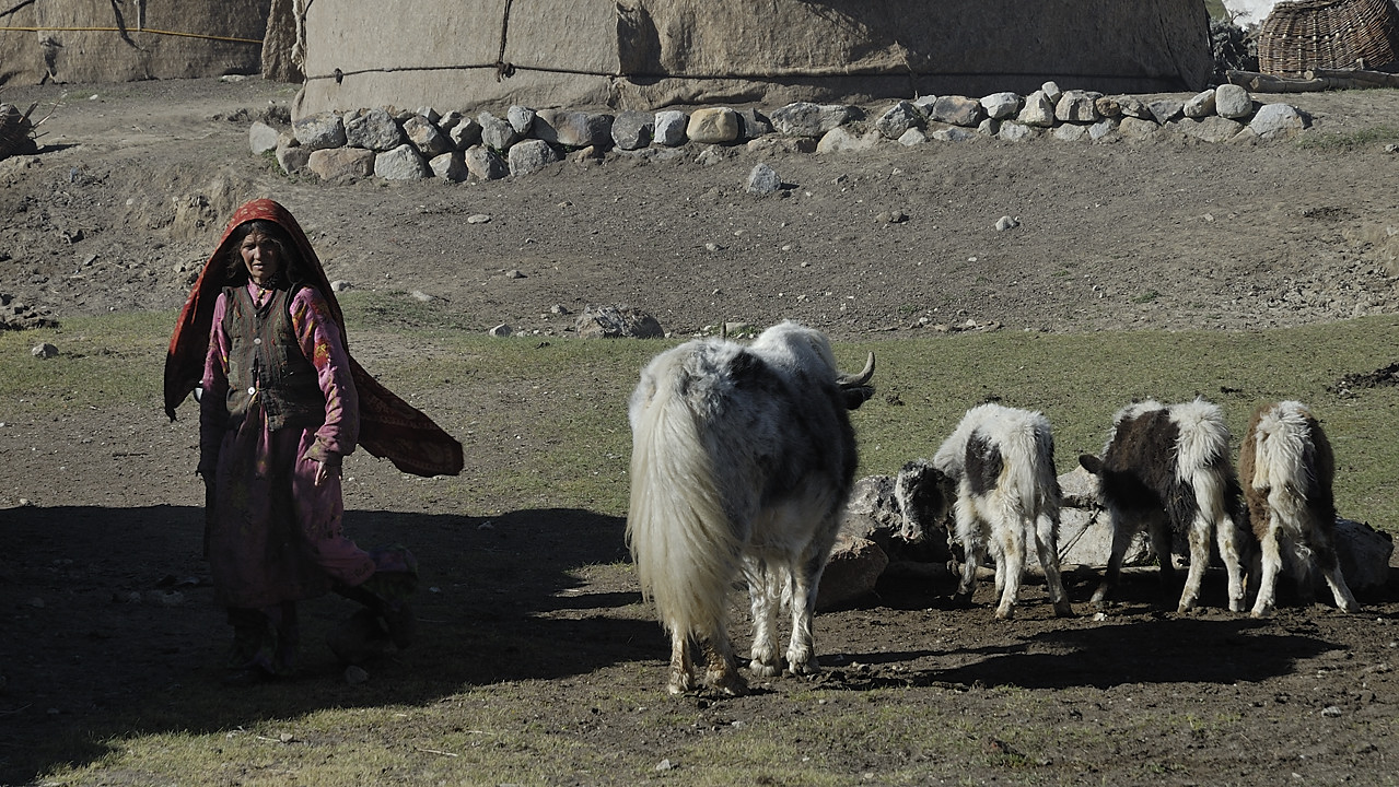 100804-080251.jpg - Village de bergers