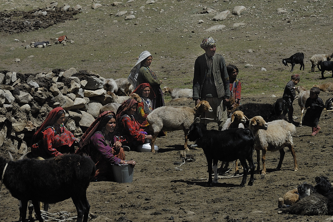 100804-112144.jpg - Bergers