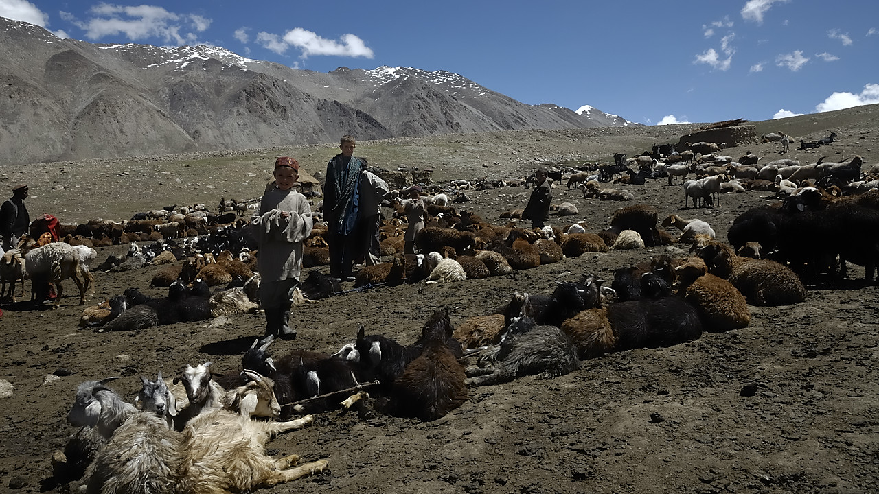 100804-112241.jpg - Bergers