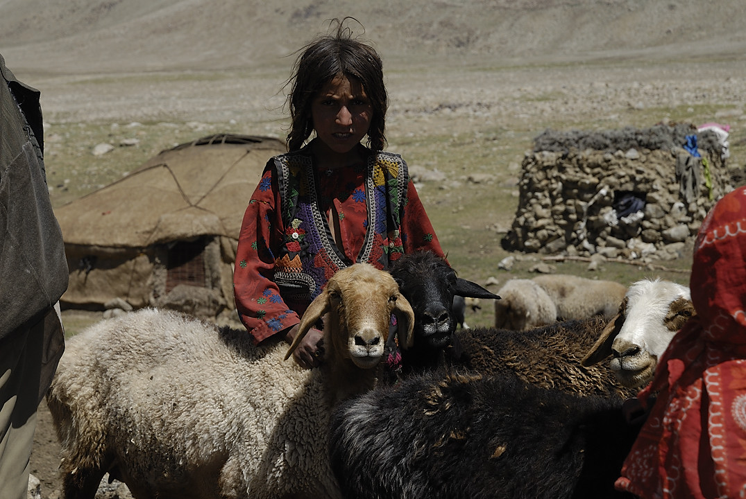 100804-112627.jpg - Bergers