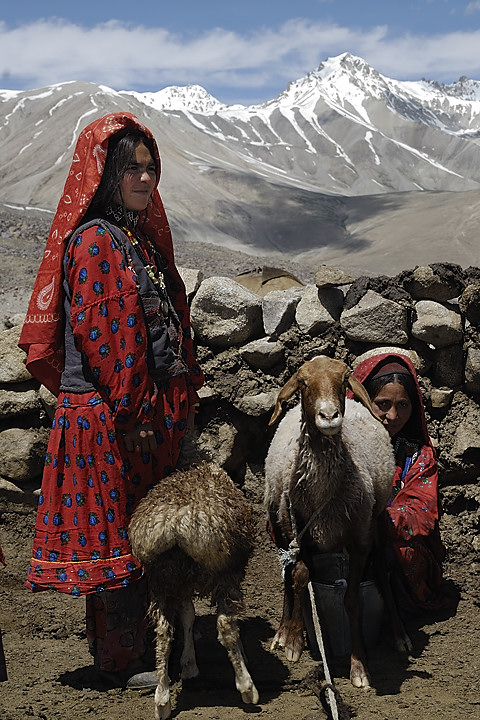 100804-112758.jpg - Bergers