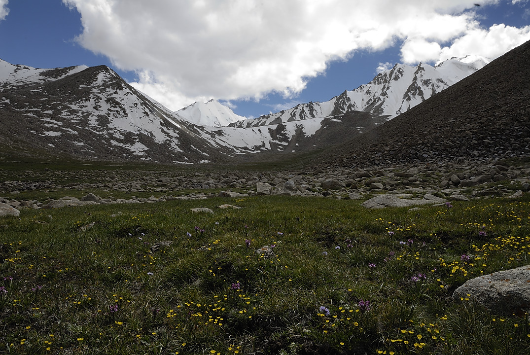100804-134022.jpg - Mont�e au Kota i Sargaz