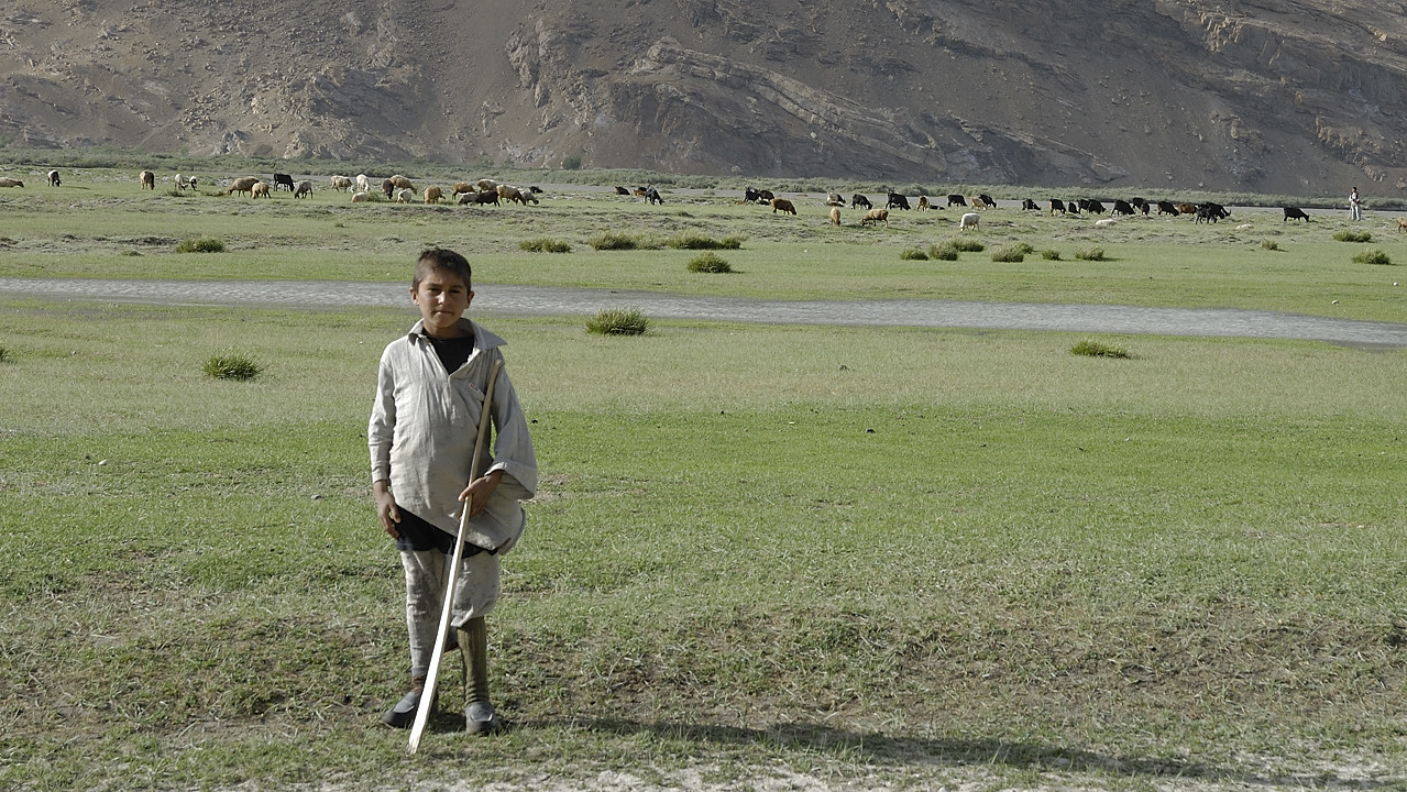 100806-164848.jpg - Berger et son troupeau � Enshon