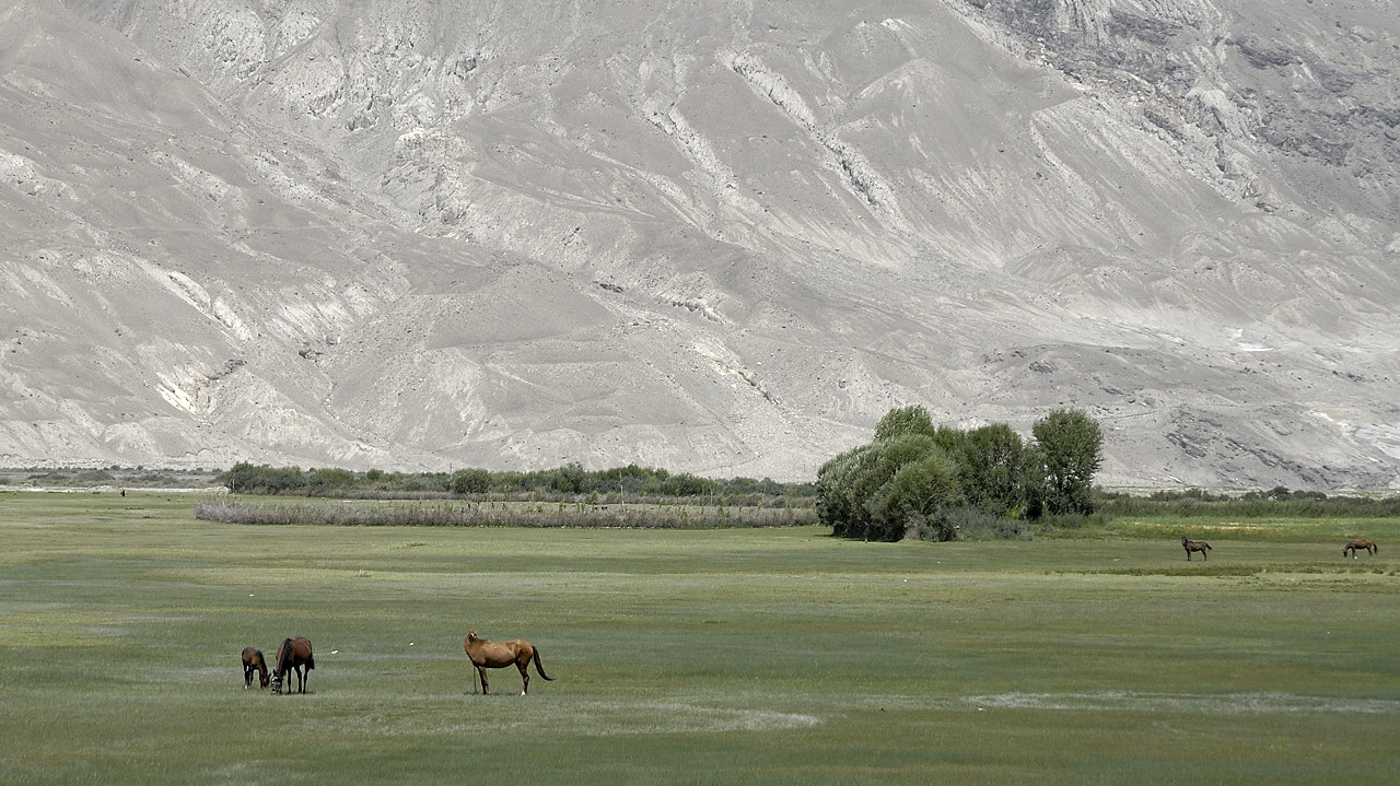 100807-131959.jpg - Aux environs d'Ishmurgh