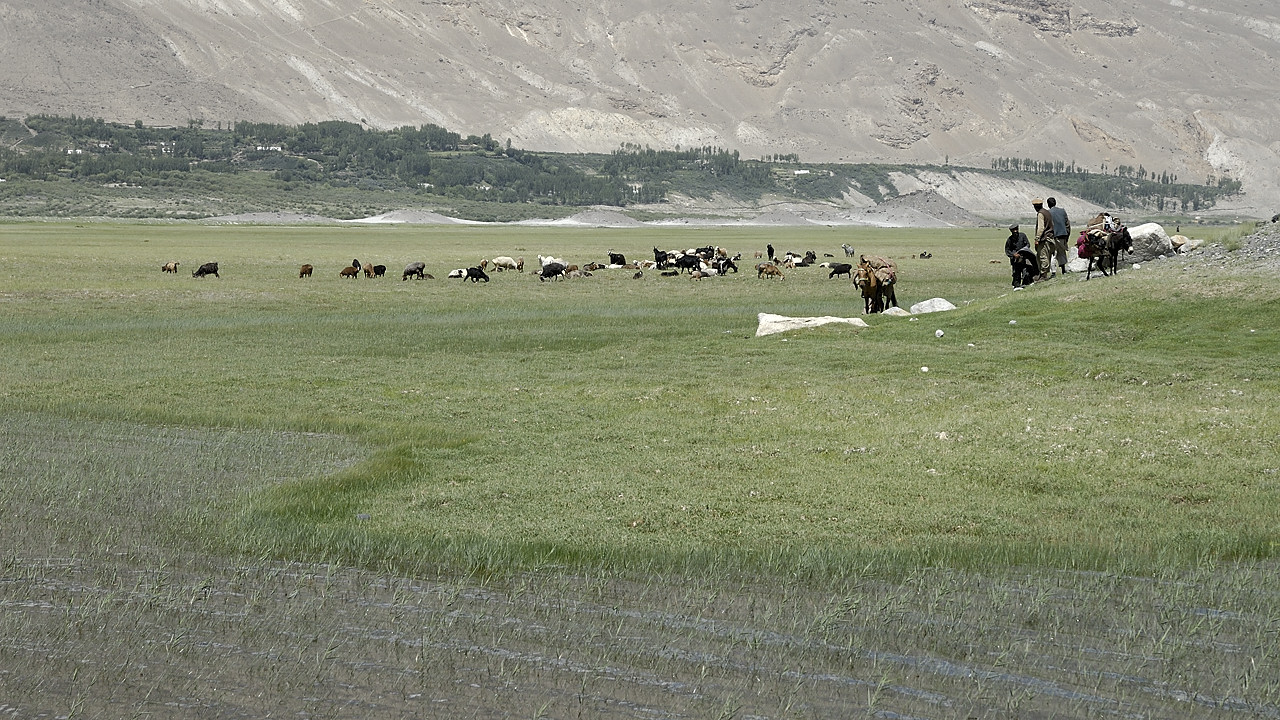 100807-132534.jpg - Aux environs d'Ishmurgh