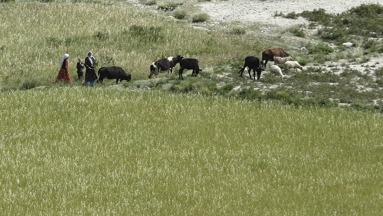 100809-103601.jpg - Wark