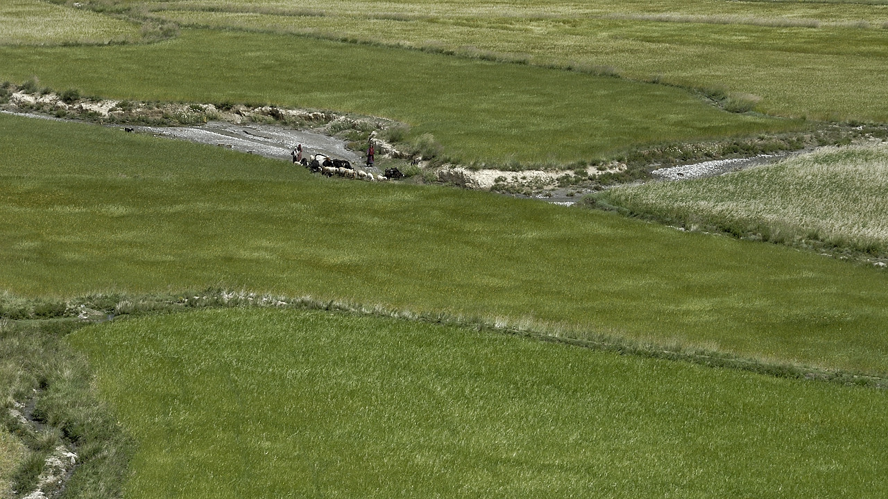 100809-103743.jpg - Wark