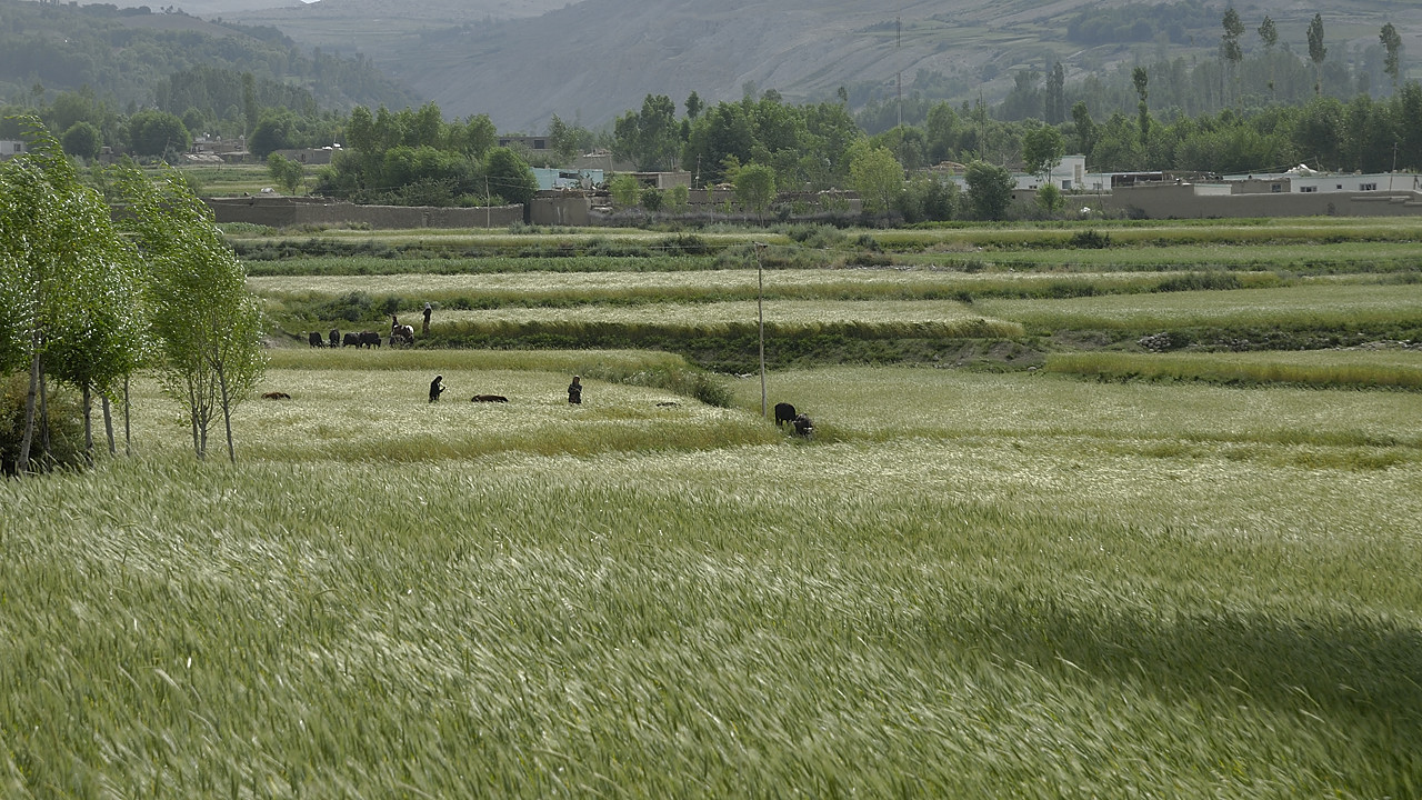 100809-155337.jpg - Arriv�e � Sultan Ishkashim