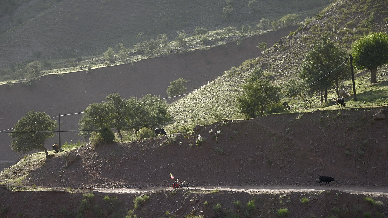 100716-50.jpg - Kaftarguzar