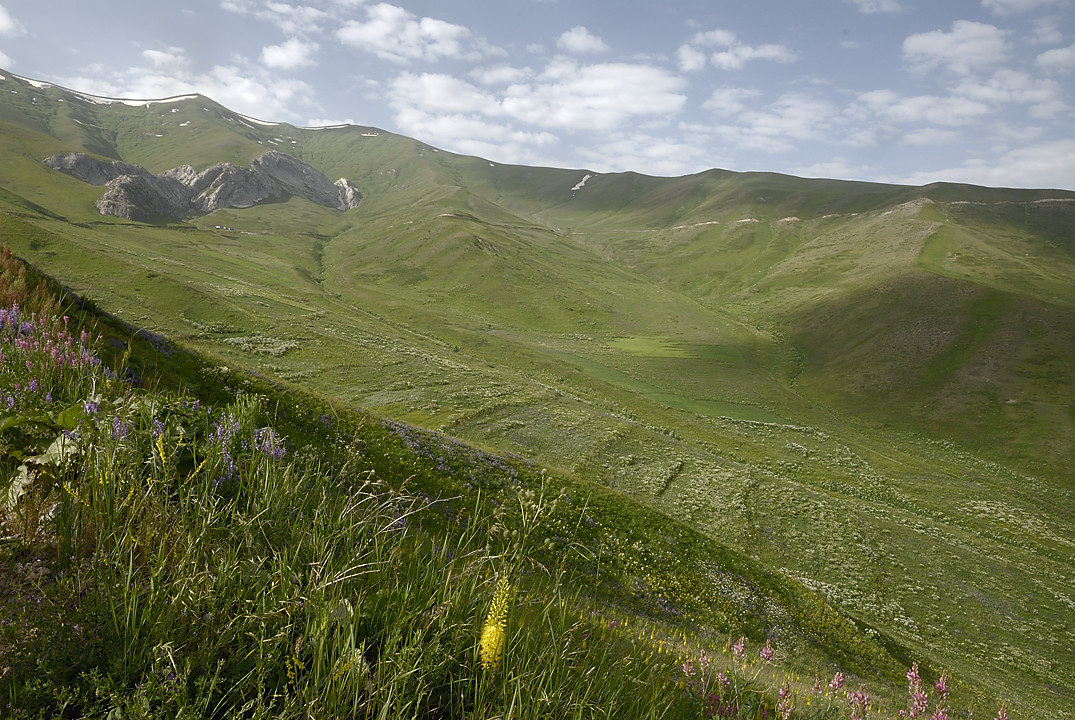 100719-04.jpg - Mont�e de Safendoron au Saghirdasht Pass
