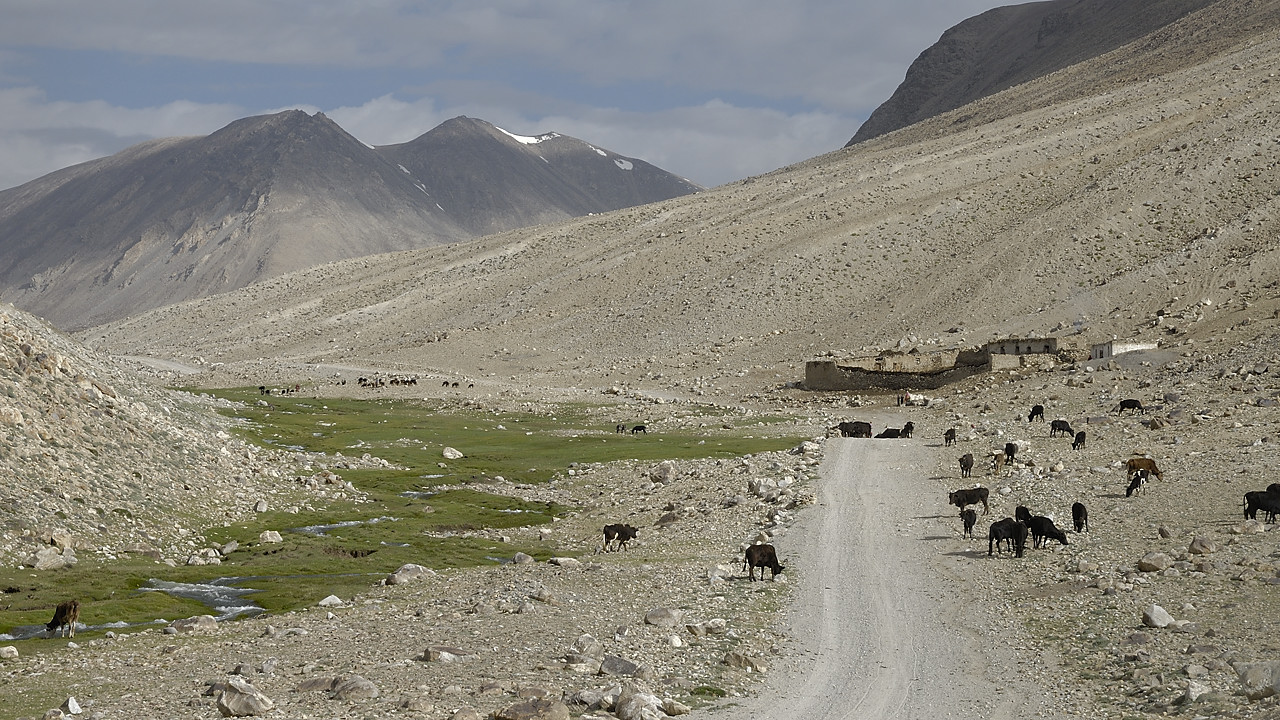 100815-01.jpg - Mont�e au Khargush Pass